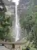 飛瀧神社(熊野那智大社別宮)(和歌山県)