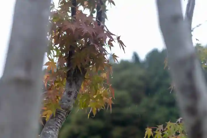 諏訪大社上社前宮(長野県)