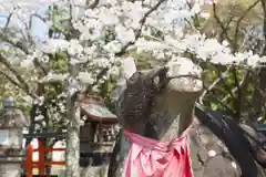 天神社の狛犬