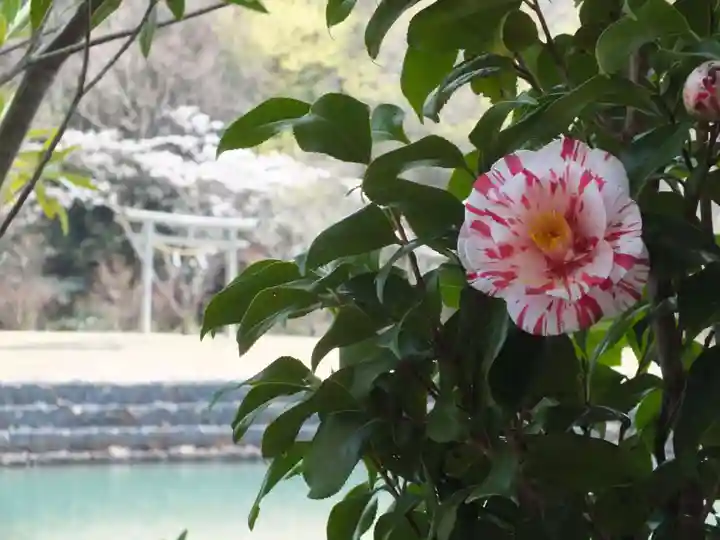 三上神社(滋賀県)