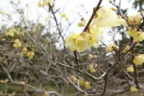 法華寺の自然