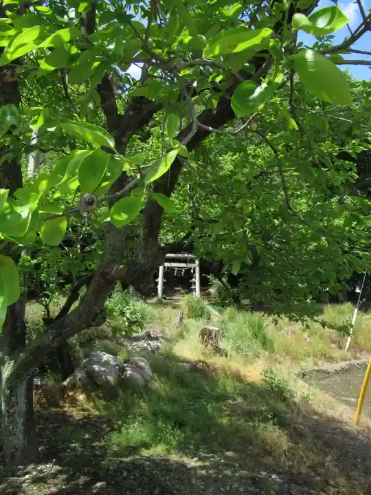 大日霊貴社(茨城県)