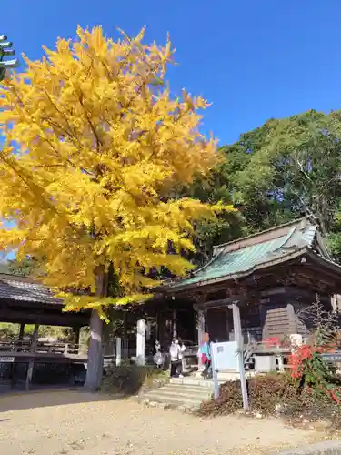 村松虚空蔵堂（日高寺）(茨城県)