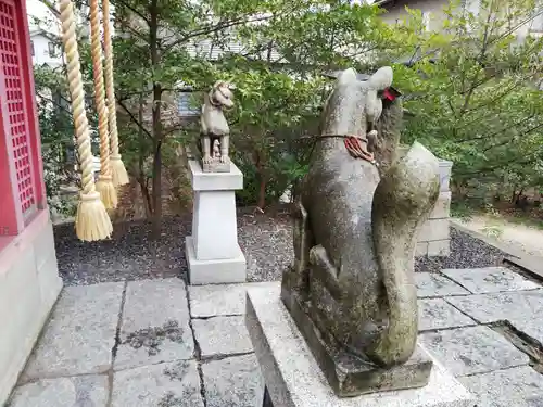 愛宕神社の狛犬