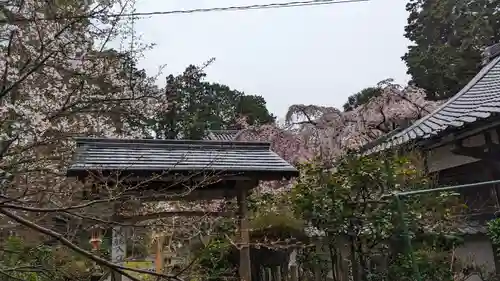 十輪寺(京都府)