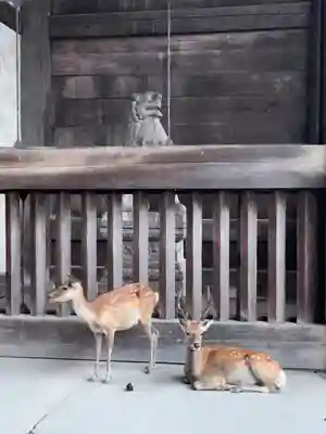 東大寺 二月堂(奈良県)