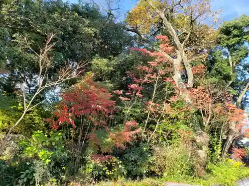 伏木神社の景色