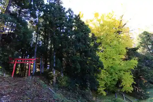 乙宿禰神社の鳥居