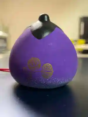 賀茂別雷神社（上賀茂神社）(京都府)