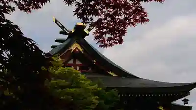 大山阿夫利神社のその他建物