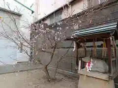 綱敷天神社の狛犬