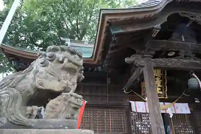 阿邪訶根神社の狛犬