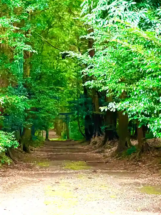 胎安神社(茨城県)