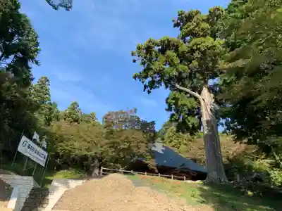 普門寺(切り絵御朱印発祥の寺)(愛知県)