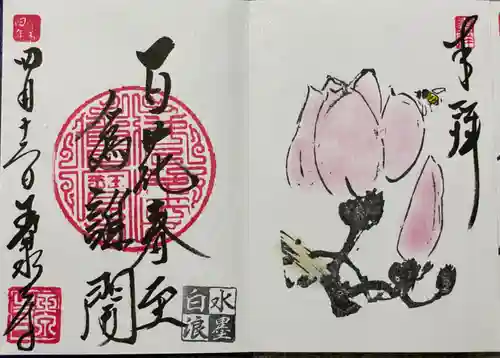 玉泉寺の御朱印