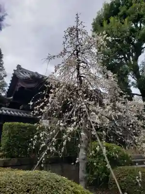 東長谷寺　薬王院(東京都)