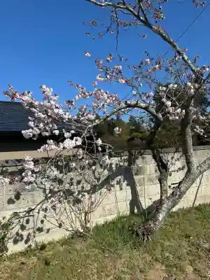 羽生天神社の{uncategorized: "未分類", other: "その他", undefined: "問題あり", building: "その他建物", grave: "お墓", sacred_gate: "鳥居", guardian: "狛犬", statue: "像", buddha: "仏像", history: "歴史", nature: "自然", garden: "庭園", animal: "動物", pagoda: "塔", temizu: "手水舎", mountain_gate: "山門・神門", sanctuary: "本殿・本堂", subordinate: "末社・摂社", art: "芸術", scenery: "景色", jizo: "地蔵", ema: "絵馬", goshuin: "御朱印", omikuji: "おみくじ", items: "授与品その他", amulet: "お守り", goshuincho: "御朱印帳", eats: "食事", festival: "お祭り", votive_dance: "神楽", shichigosan: "七五三参", wedding: "結婚式", experience: "体験その他", initially: "初詣", around: "周辺", anti_infection: "感染症対策"}