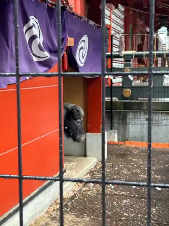 神田神社(神田明神)(東京都)