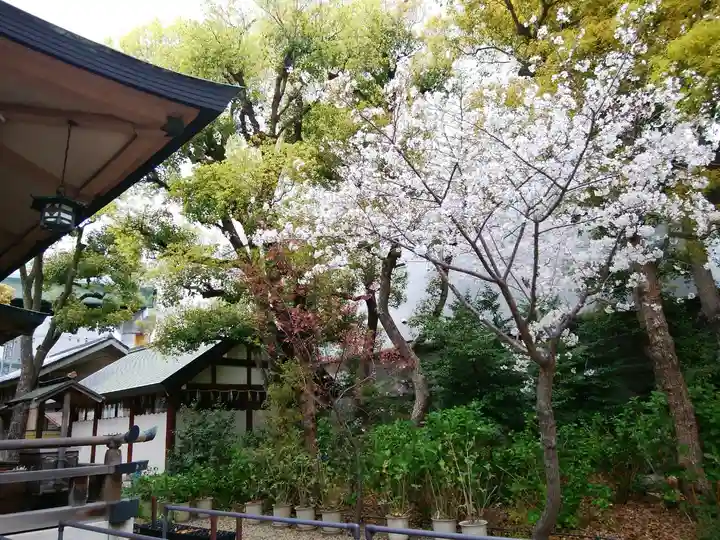 坐摩神社(大阪府)