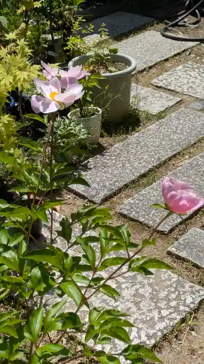 勝林寺(京都府)