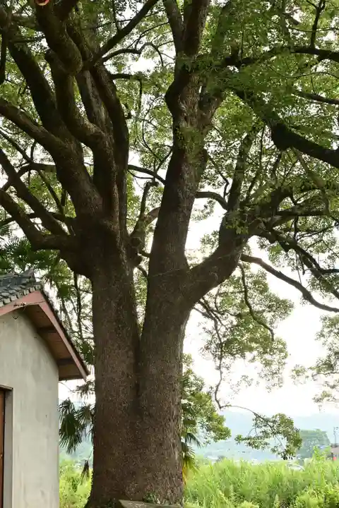 岩戸神社(徳島県)