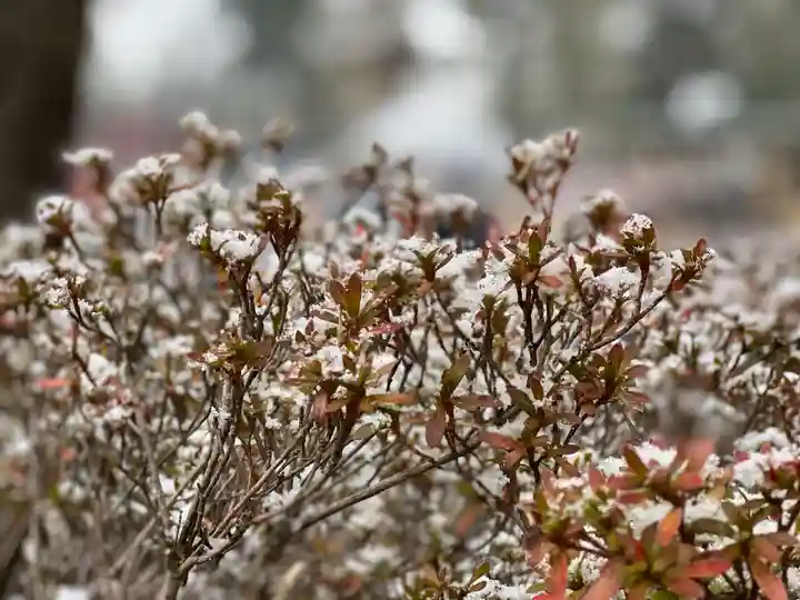 多摩川浅間神社のその他建物