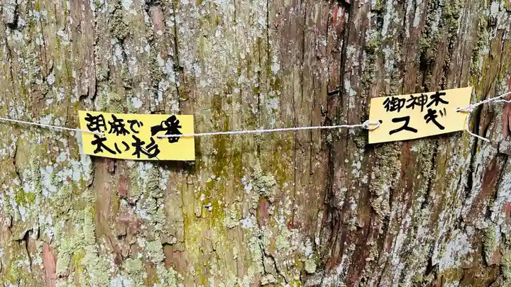 日吉神社(京都府)
