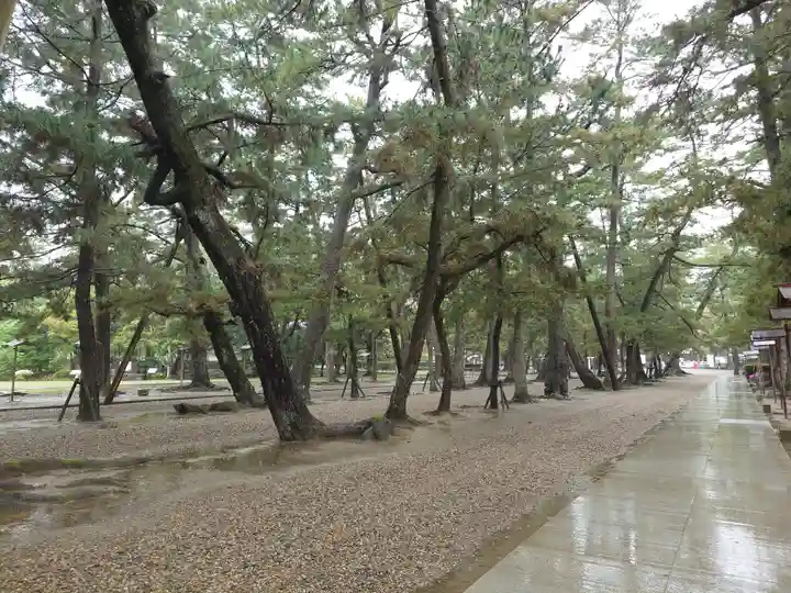 出雲大社(島根県)
