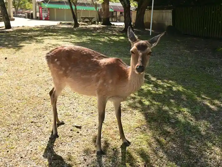 清盛神社(広島県)