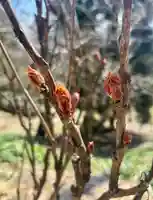 蚊里田八幡宮(長野県)