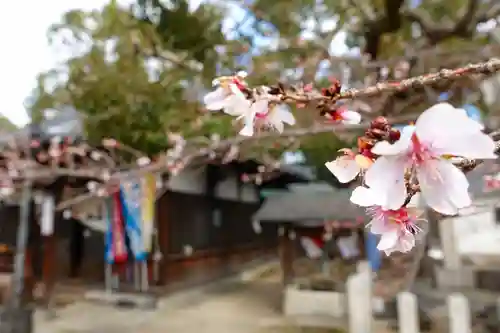 大念佛寺の自然