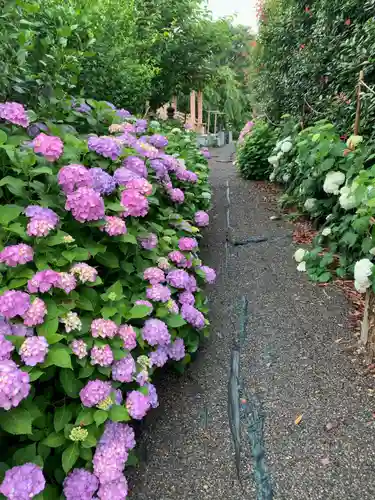 蓮田東照宮の自然