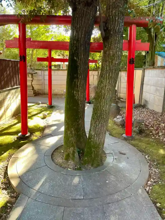 威光稲荷堂の{uncategorized: "未分類", other: "その他", undefined: "問題あり", building: "その他建物", grave: "お墓", sacred_gate: "鳥居", guardian: "狛犬", statue: "像", buddha: "仏像", history: "歴史", nature: "自然", garden: "庭園", animal: "動物", pagoda: "塔", temizu: "手水舎", mountain_gate: "山門・神門", sanctuary: "本殿・本堂", subordinate: "末社・摂社", art: "芸術", scenery: "景色", jizo: "地蔵", ema: "絵馬", goshuin: "御朱印", omikuji: "おみくじ", items: "授与品その他", amulet: "お守り", goshuincho: "御朱印帳", eats: "食事", festival: "お祭り", votive_dance: "神楽", shichigosan: "七五三参", wedding: "結婚式", experience: "体験その他", initially: "初詣", around: "周辺", anti_infection: "感染症対策"}