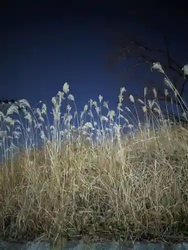 小網神社(東京都)