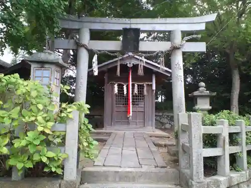 秋葉神社（元秋葉神社）の鳥居