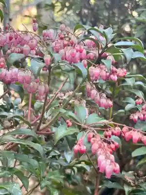 意賀美神社(大阪府)