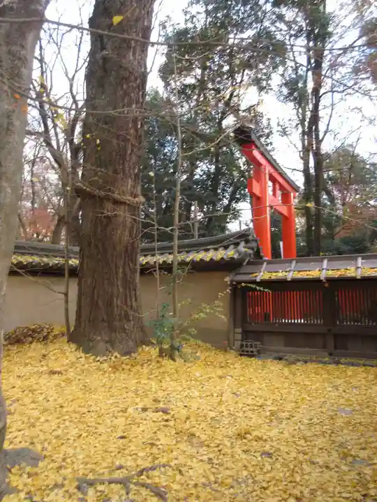 河合神社(鴨川合坐小社宅神社)(京都府)