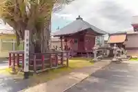 天神社(宮城県)