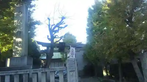 白鬚神社の鳥居