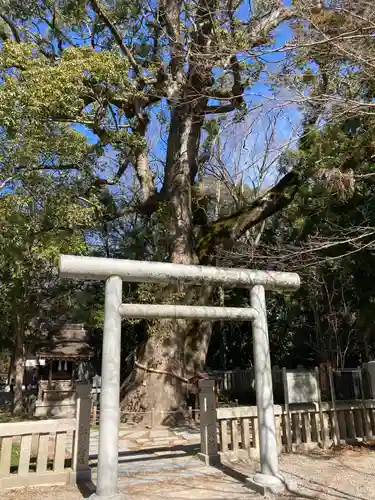 伊弉諾神宮の鳥居