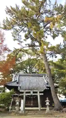 西宮神社の本殿・本堂