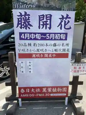 春日大社(奈良県)