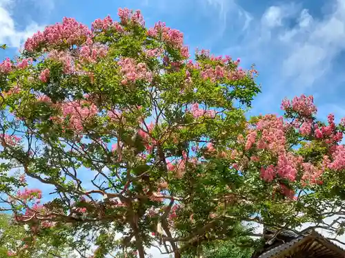 大林寺(岩手県)