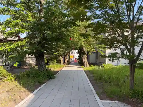 小室浅間神社(山梨県)