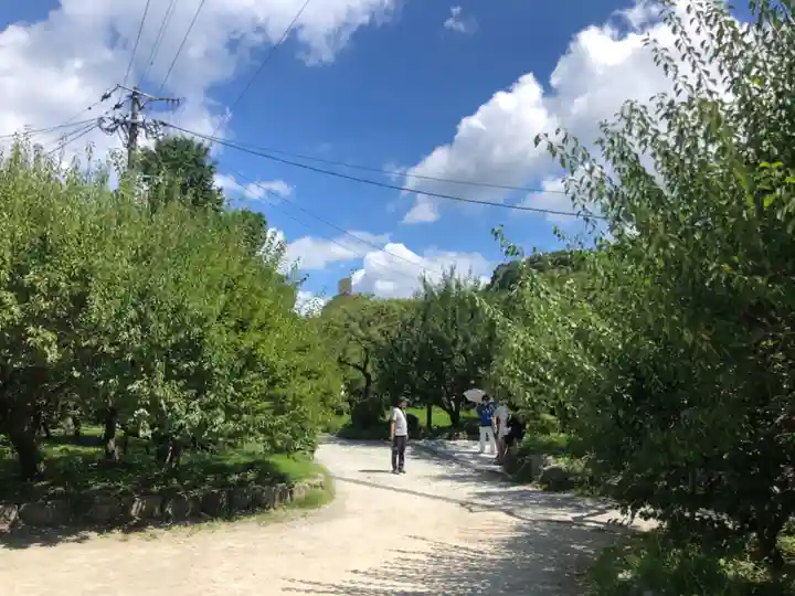 太宰府天満宮の自然