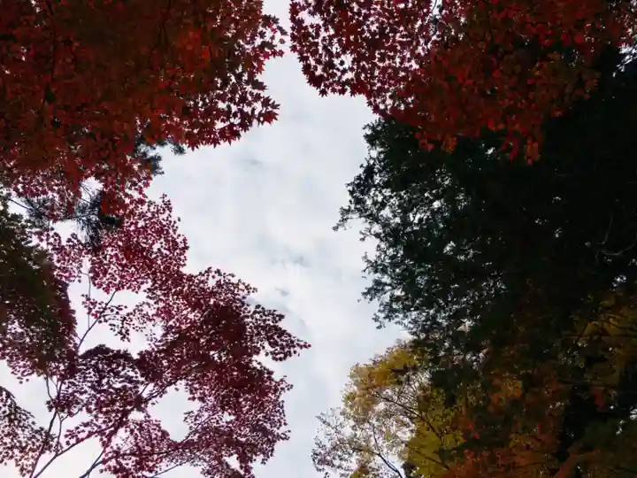 中尊寺本堂の自然