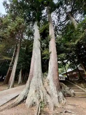 瀧樹神社(滋賀県)