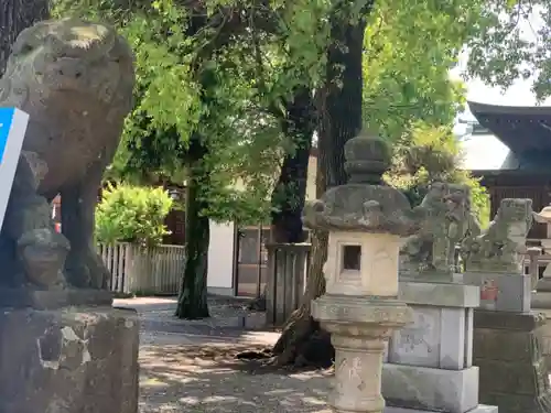 町田天満宮の狛犬