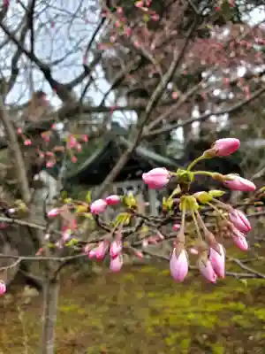 神炊館神社 ⁂奥州須賀川総鎮守⁂(福島県)