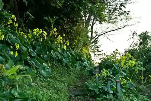 白山媛神社(新潟県)